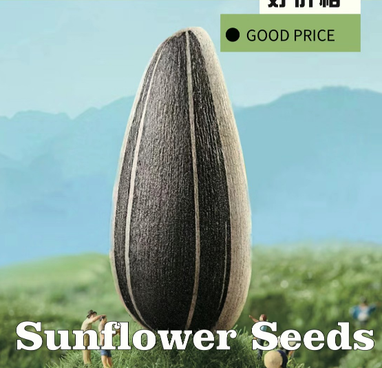 Sunflower seeds