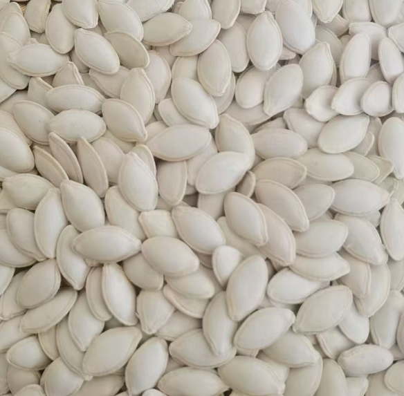 Pumpkin seeds