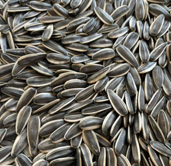 sunflower seeds